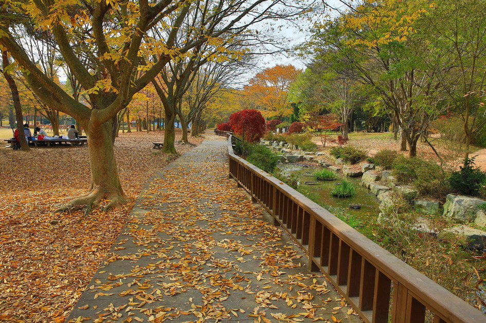가을에 꼭 가보고 싶은곳 경상남도수목원 / 진주수목원 경남수목원
