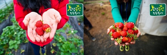 [안동]전통이 살아 숨쉬는 곳 경북 안동