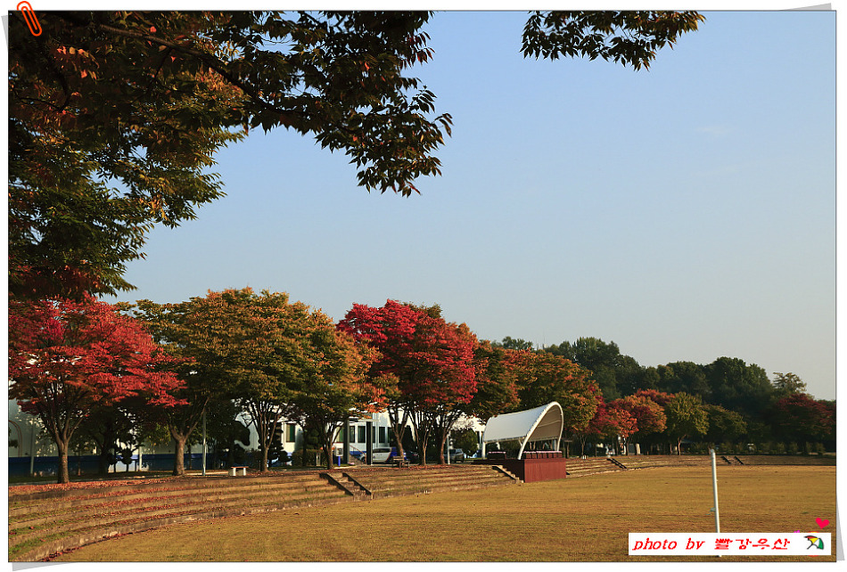 초등학교  교정에서