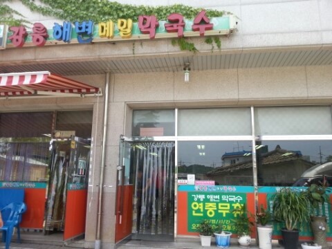 메밀냉국수&메밀만두