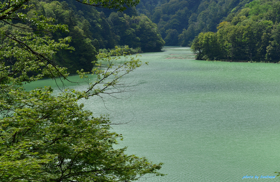 구로베 협곡, 히기시 차야가이 및 일본 3대정원인 겐로쿠엔(14.8.30) 등 여행