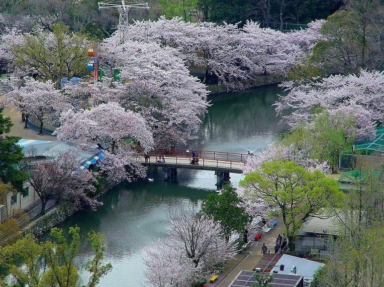 2752BB4B52A50E0E1BEC59