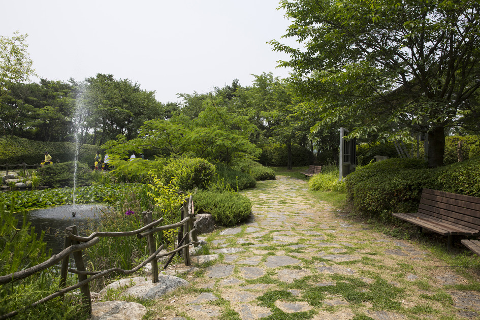 산책하기 좋은 안산습지생태공원 / 안산둘레길, 갈대습지길