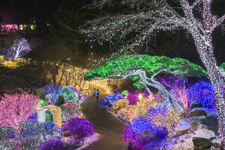 아침고요수목원