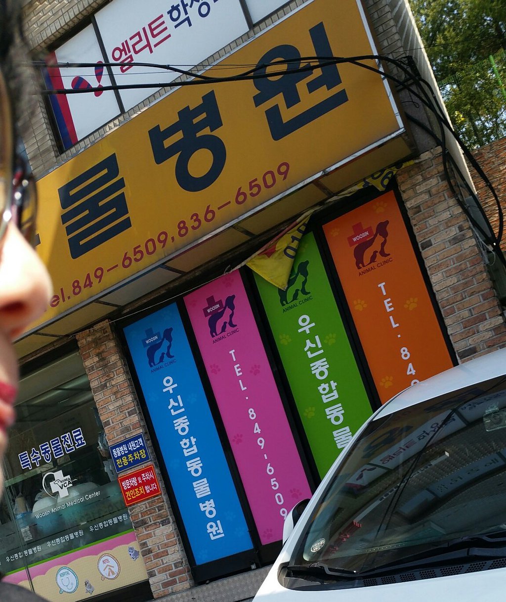 2019. 3. 29(금)말티즈 믹스견 모세군 병원1차