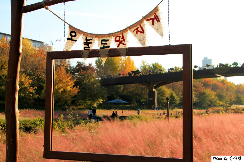 양재천의 가을 단상(18.11.14)