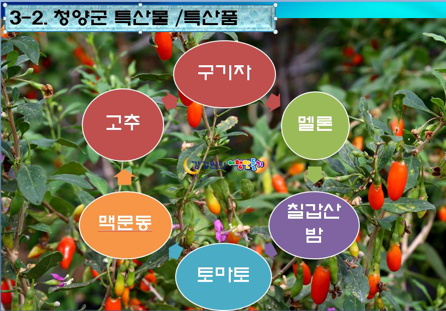 청양농업기술센터 청양군농업인대학 강경원강의 관광산업과 로컬푸드 6차산업 푸드플랜 융복합