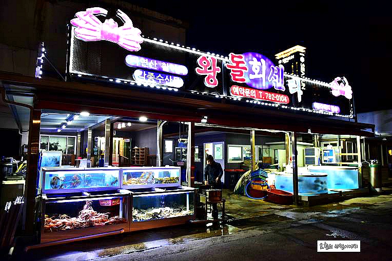 필리핀선교 이야기 | 울진여행 박달대게 울진맛집 죽변항길 왕돌회센타 [울진가볼만한곳] - Daum 카페 울진여행 박달대게 울진맛집 죽변항길... 
