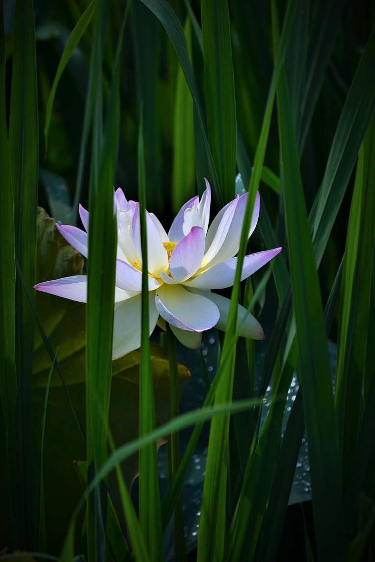 서오리 이미지