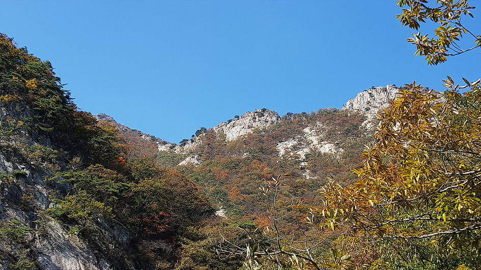 계룡산의 가을 정취에 빠져들다.