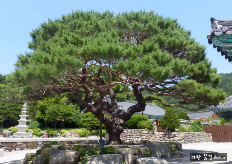 포항 보경사 가족 나들이