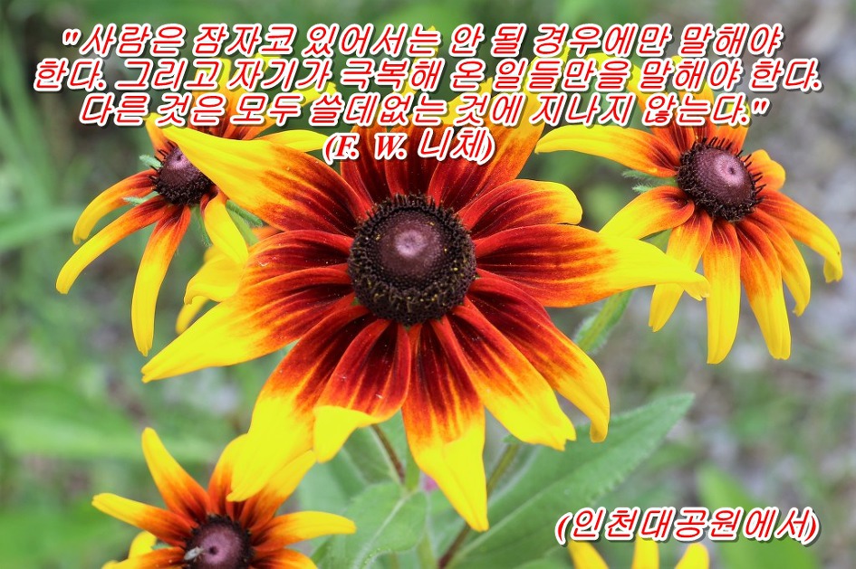 < F. W. 니체 말 하기를> 