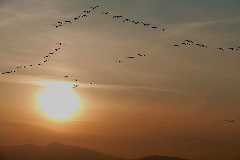 9933C93A5DF4F3941DB0D5