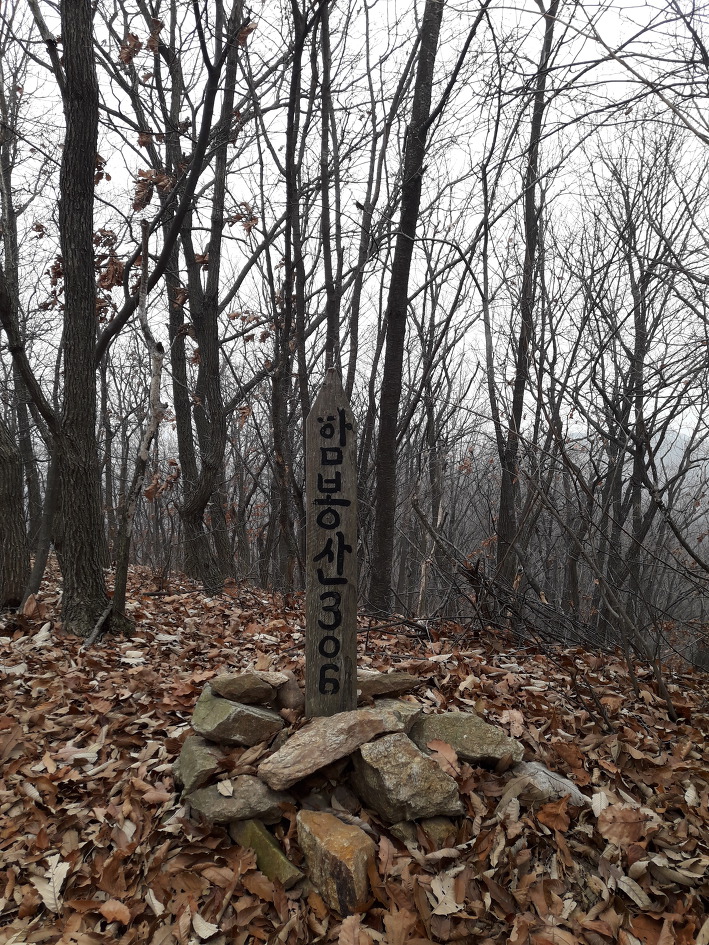 낙엽쌓인 화성 무봉산,함봉산(2018년11월11일)
