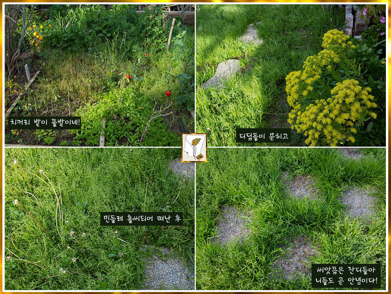 그냥 웃지요