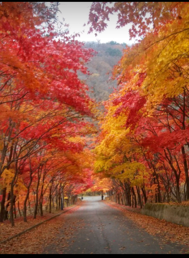 가을 풍경