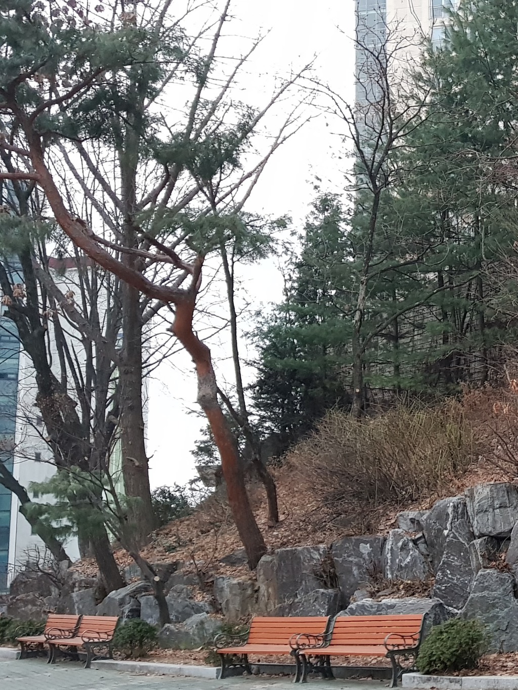 이곳에는
