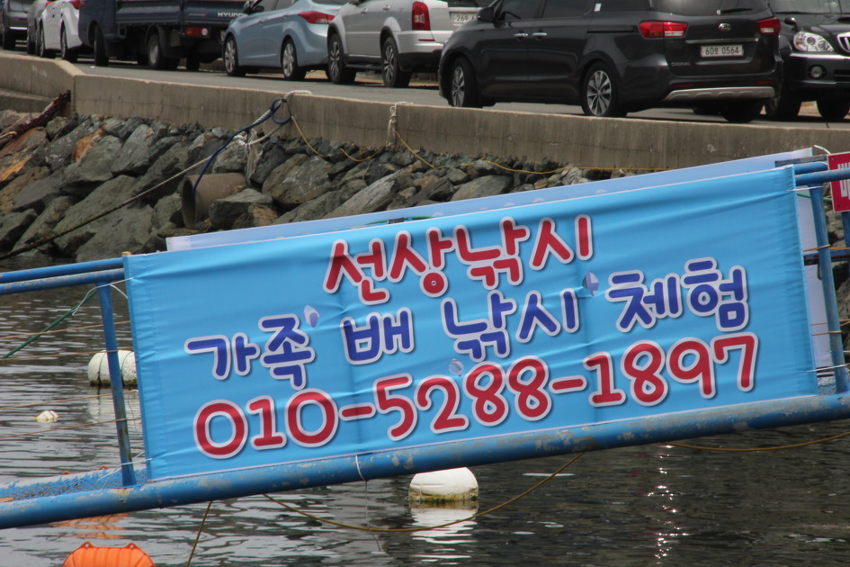 거제 지세포, 지심도 낚시 여행! 