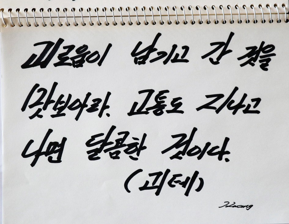 <괴테 말 하기를> 