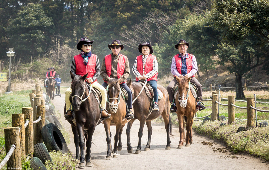 2019년 순례행사