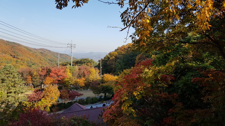 [충북 제천여행] 경기일오회 추계야유회에서 박달도령과 금봉이의 애틋한 전설 울고넘는 박달재 노래비가 있는 제천 박달재 탐방 - 신박사. 