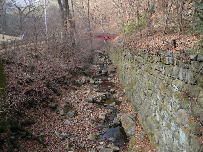 금산 보석사의 보석들 (보석사 대웅전, 목조석가여래삼존좌상, 은행나무)