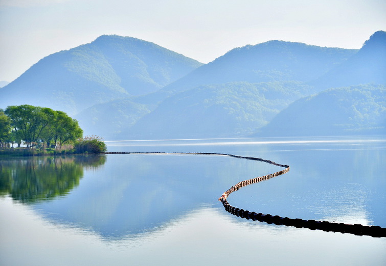 강 마을에 초록 명상
