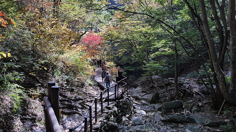 계룡산의 가을 정취에 빠져들다.