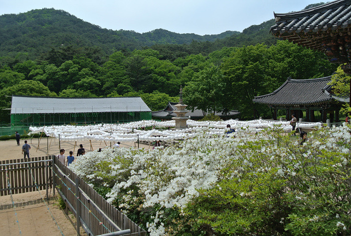 원본이미지(클릭)