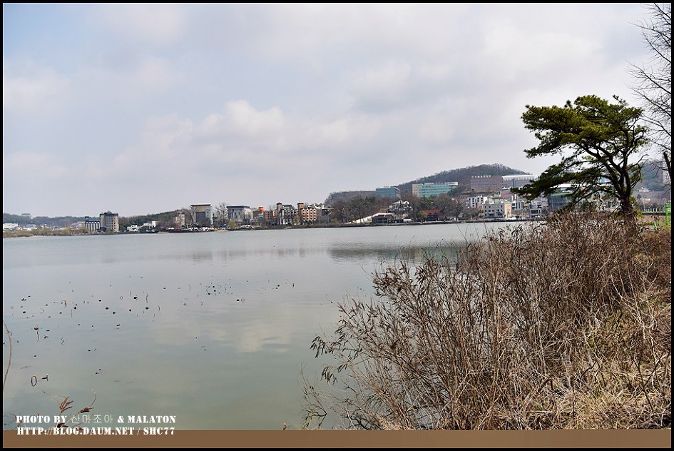 [경기화성] 보통리 저수지 산책로 풍경!