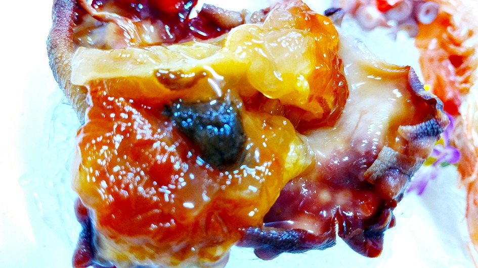 죽변항 맛집/동해회대게/저렴한 대게집 여기가 최고