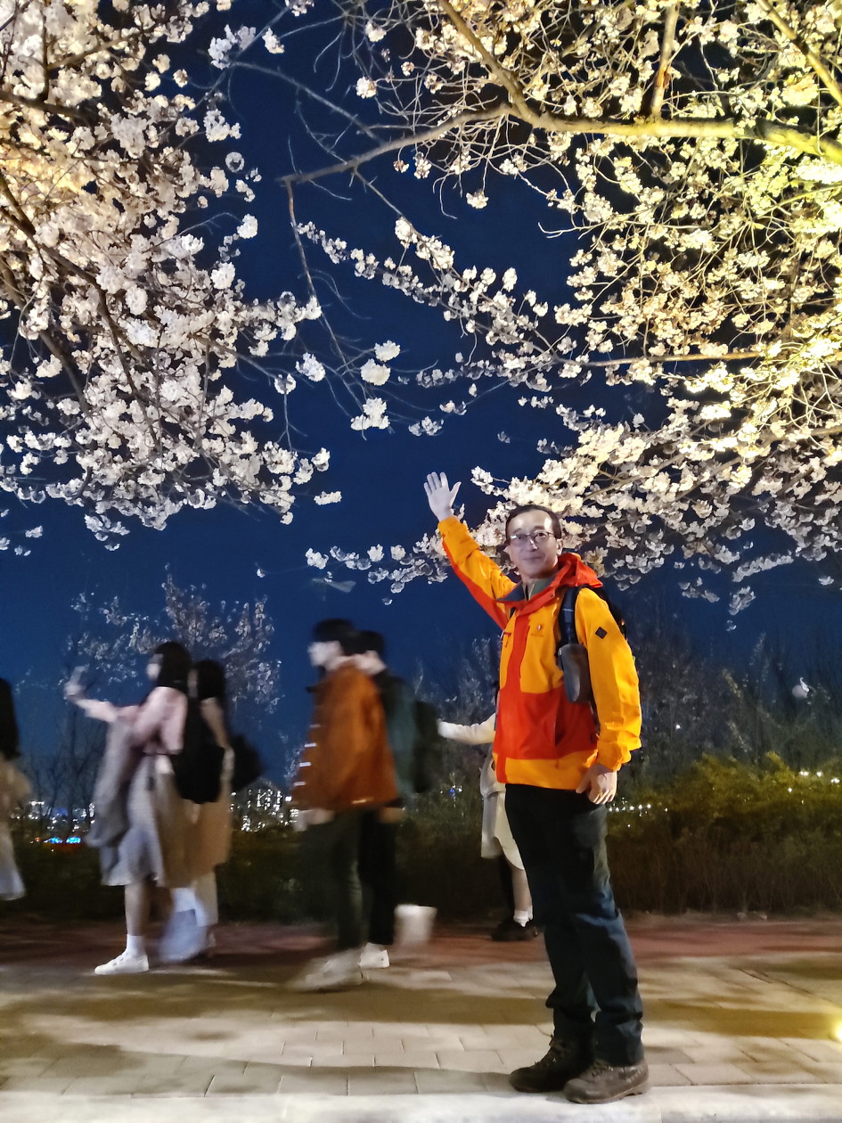 [여의도] 윤중로 벚꽃