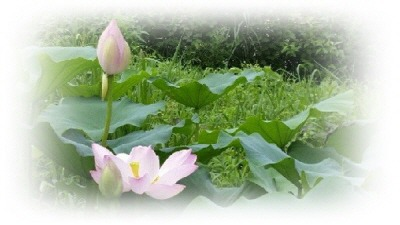 이미지 자료