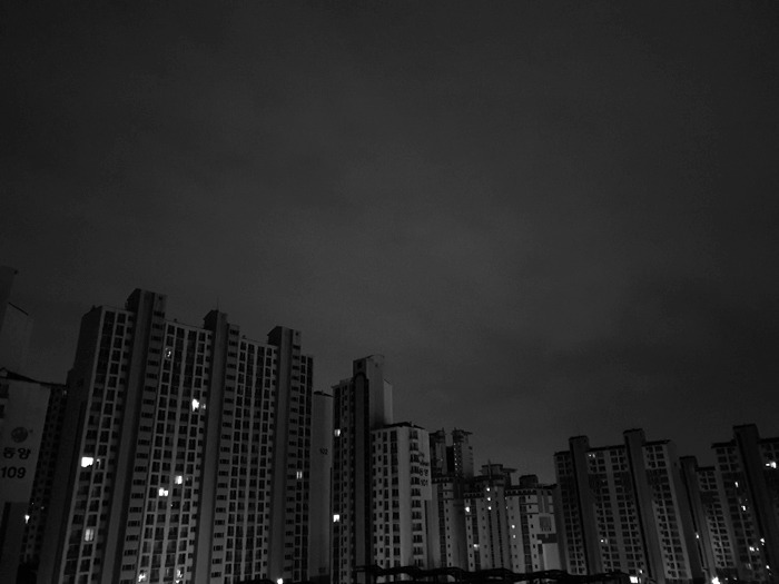 새벽
