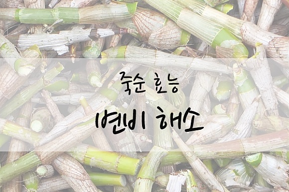 건강에 좋은 죽순 효능