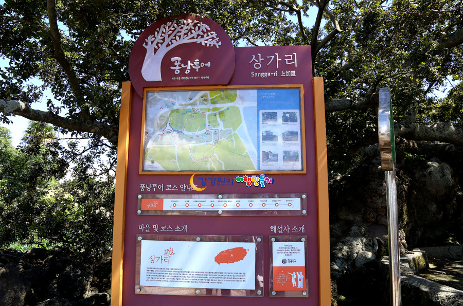 퐁낭 이미지