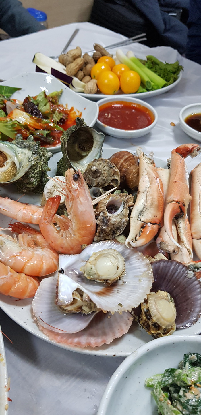남쪽 여행