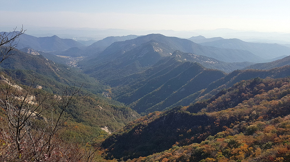 계룡산의 가을 정취에 빠져들다.