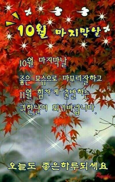 (추억)그리고(고독)을 연기하다!