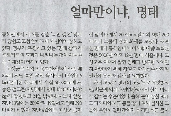 명태나라 이미지