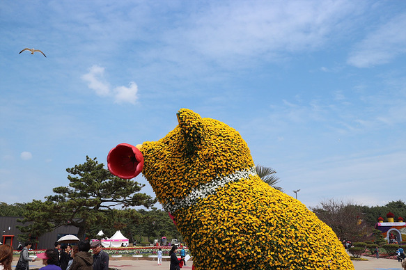 원본이미지(클릭)