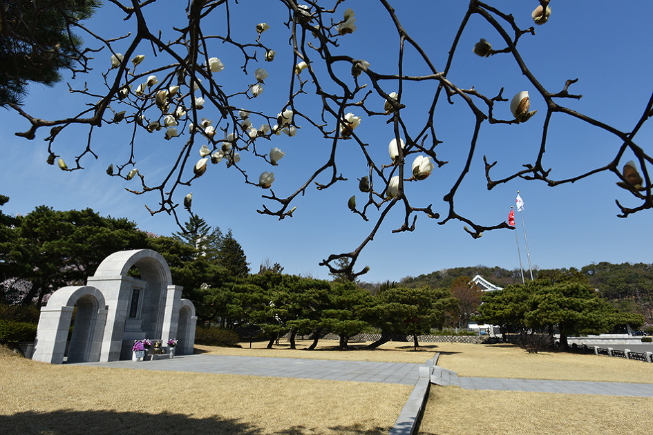 국립현충원의 봄