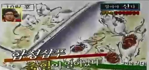 설페이드계 인공적 계면활성제 없는 바오밥 샴푸