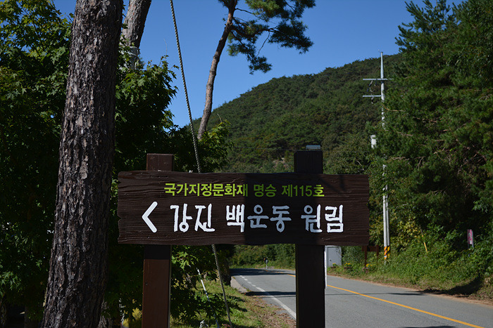 원본이미지(클릭)