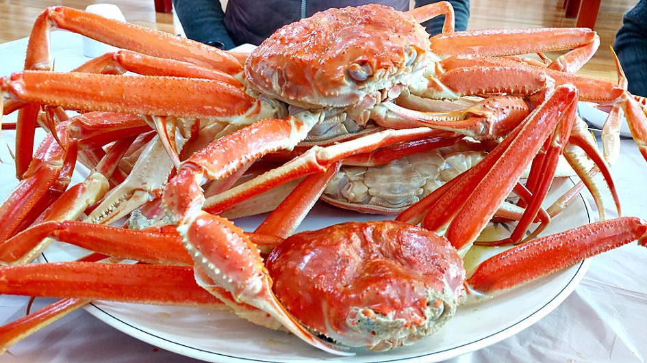 울진 대게축제는 못보고 대게만 배부르게 먹었다/울진맛집 동해회대게