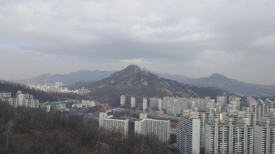 [하루 한문장]
