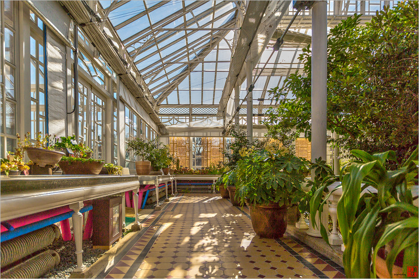 겨울날 창경궁 대온실을 찾았던 날에....